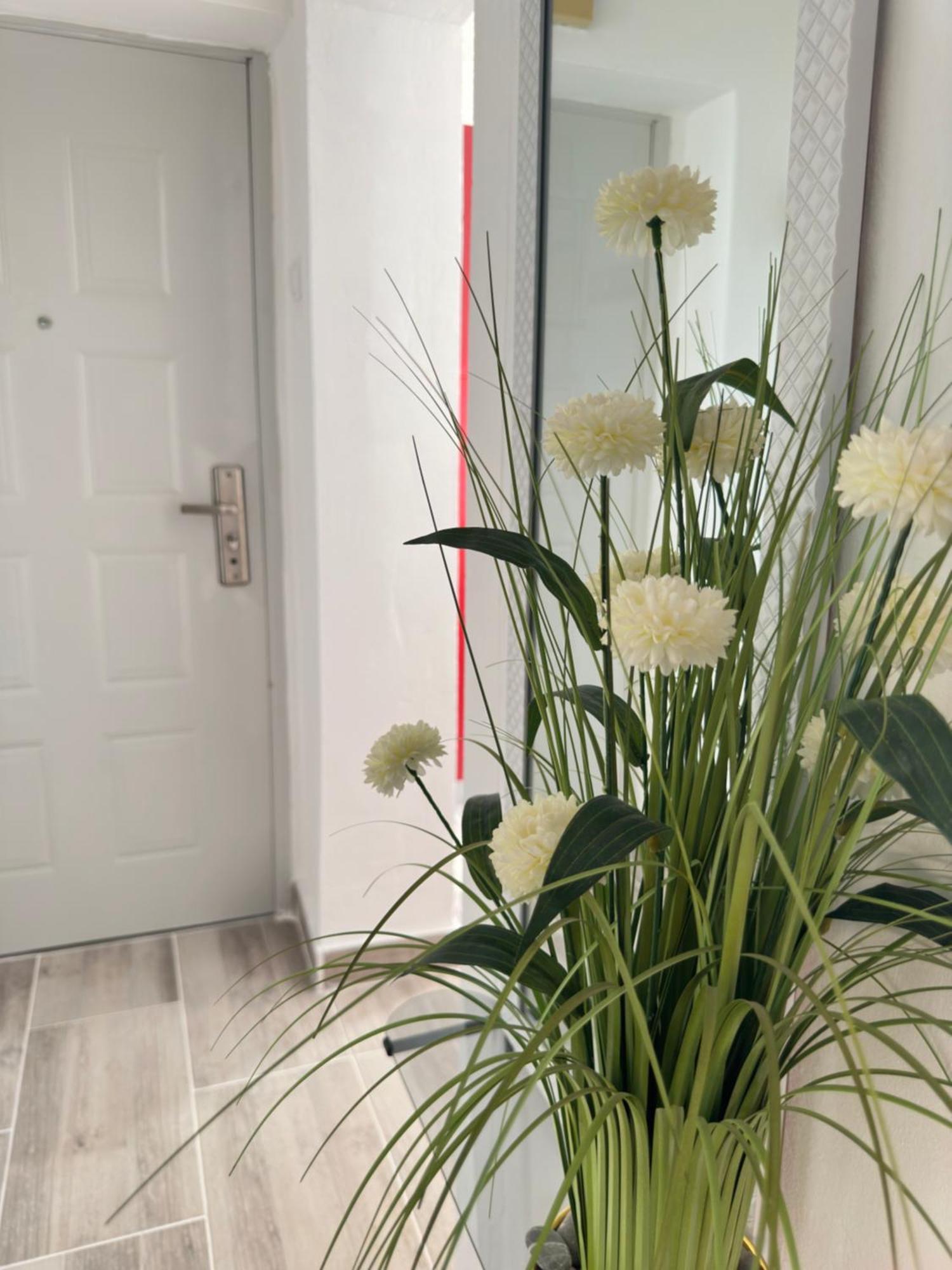 Apartment Maky Ζαντάρ Εξωτερικό φωτογραφία